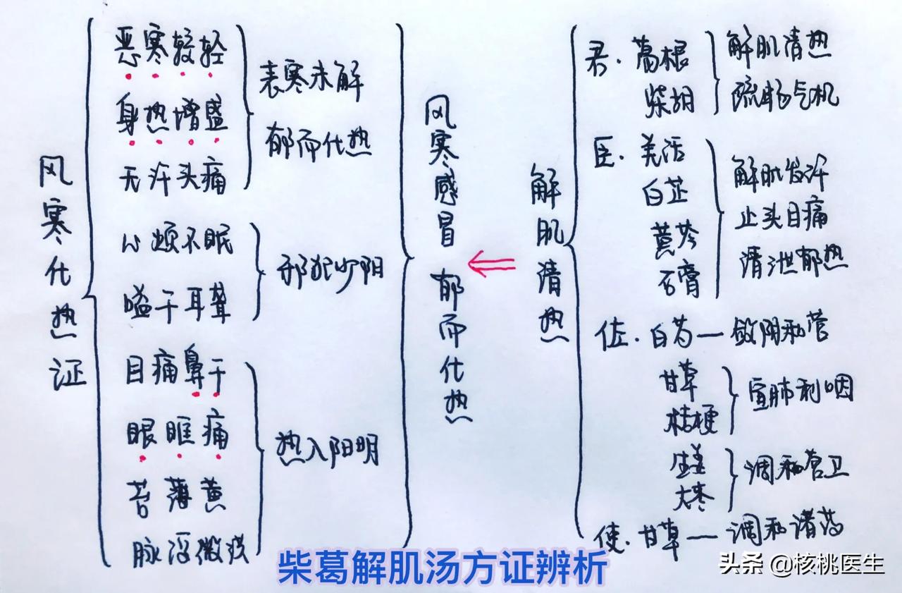 【柴葛解肌汤:三阳同治法—治疗外感发热,小儿肺炎发热】 柴葛解肌汤