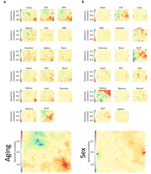 欧易生物,基因芯片,生物芯片,基因测序,高通量测序,二代测序,三代测序,酵母文库,生物信息学,转录组,基因组,蛋白质组,甲基化,代谢组学,蛋白检测单细胞测序,核体系酵母文库构建,基因组de novo测序,蛋白质组定量分析,靶向代谢组学, 2b-RAD简化基因组 ,微生物多样性测序
