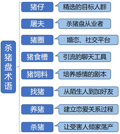 法制|30岁还单身？2020恋爱宝典来了