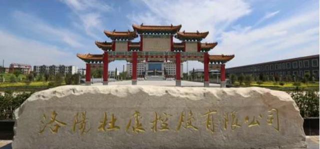 洛阳市政府为什么强烈关注杜康？