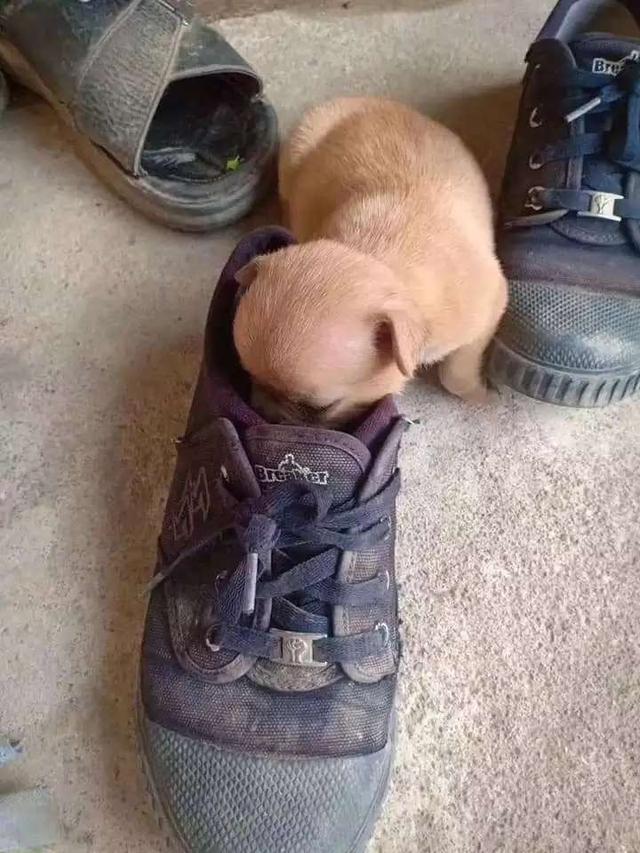 �u�E�|������A�A���@�@�e���@�өf�l�^�a�H�v�������ڲβΰe