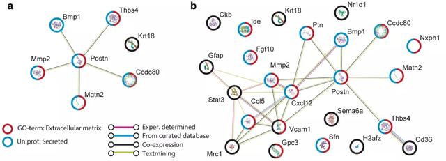 欧易生物,基因芯片,生物芯片,基因测序,高通量测序,二代测序,三代测序,酵母文库,生物信息学,转录组,基因组,蛋白质组,甲基化,代谢组学,蛋白检测单细胞测序,核体系酵母文库构建,基因组de novo测序,蛋白质组定量分析,靶向代谢组学, 2b-RAD简化基因组 ,微生物多样性测序