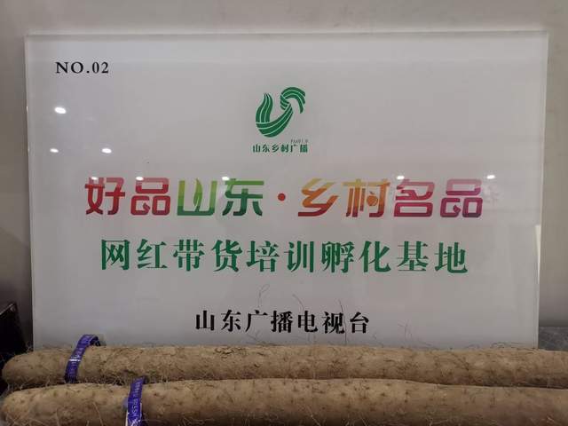 聊城莘县王奉镇白玉山药火啦！成功入选“好品山东 乡村名品”(图3)