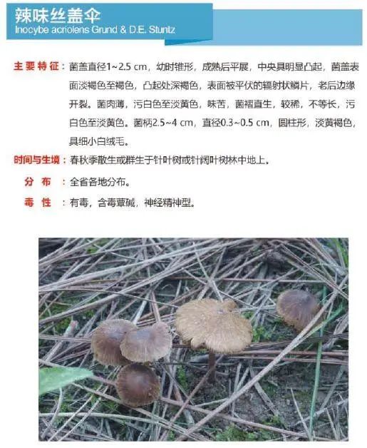 又到暴发季！湘潭人警惕，这东西碰不得（附有奖答题）