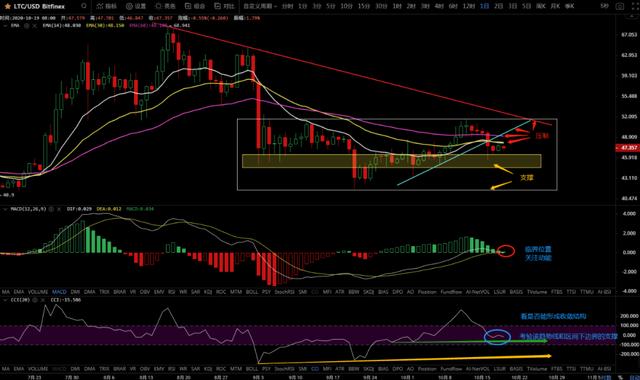 10/19价格分析：BTC、BCH、ETH、XRP、LTC、ZEC、LINK I Damo行情10