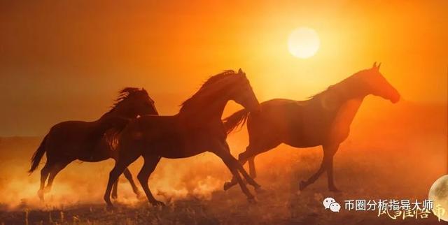 凤雏悟币：数字货币一篇市场交易心理学箴言1