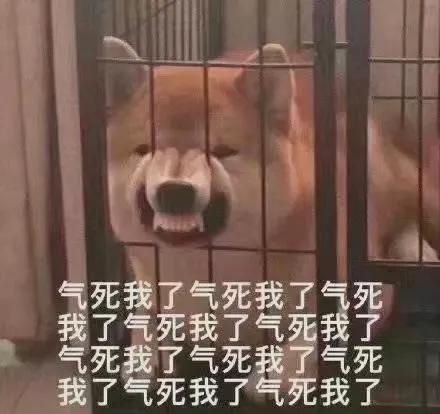 嘘寒问暖不如转笔巨款，女团成员私联男粉丝要钱？