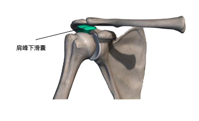 从三个角度解析肩峰撞击综合征教你居家训练动作防患未然