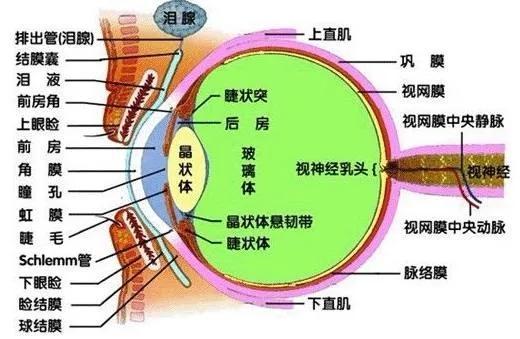 6ec2cf574a1d48ed8d203abefd7c71f8