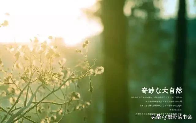 a6313b71ef2b47c292d5d61a7f2c1592