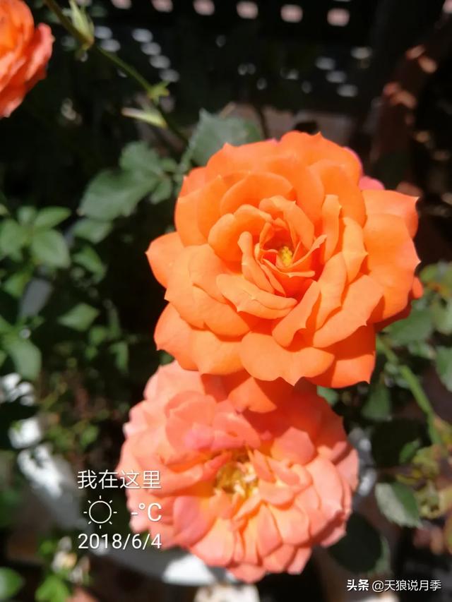 影片剧照