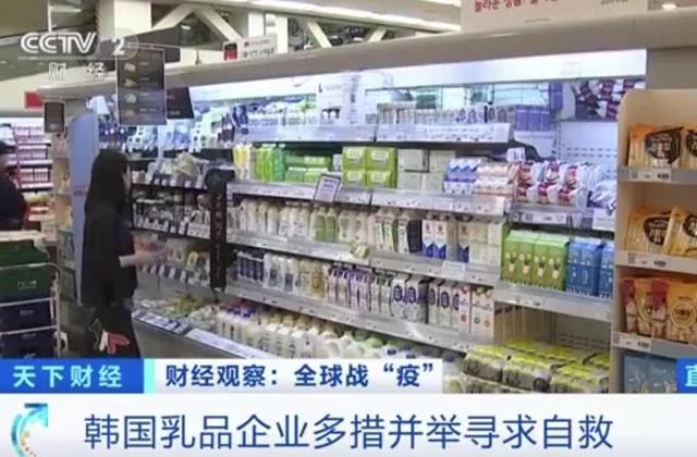 停课致韩国万吨牛奶订单取消,处理滞销牛奶成当务之急