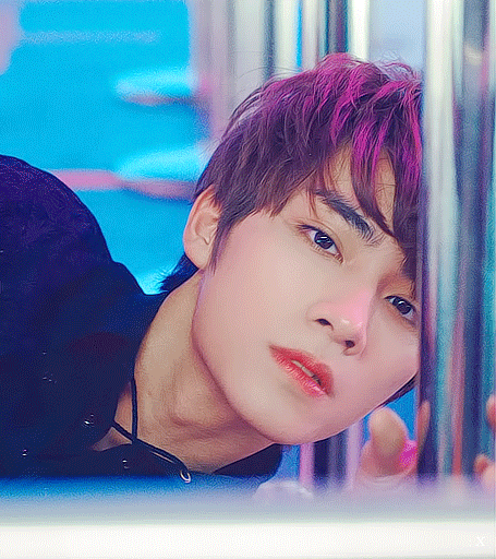 sm的狗狗恐龙相男爱豆们