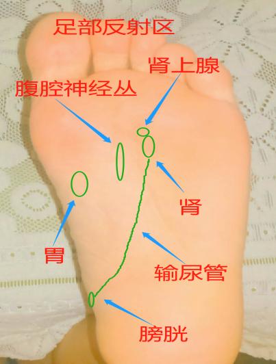 胃痛足部按摩法_健康症状网