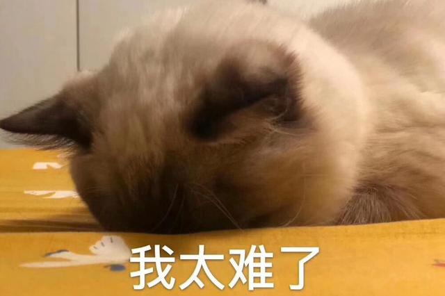 根本不敢让iPhone 12涨价，所以苹果玩起了这个手段(图5)