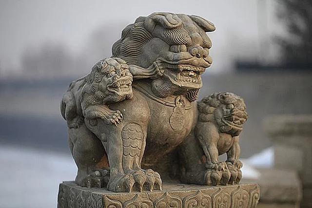 中国不产狮子，为什么到处都是石狮子和舞狮？