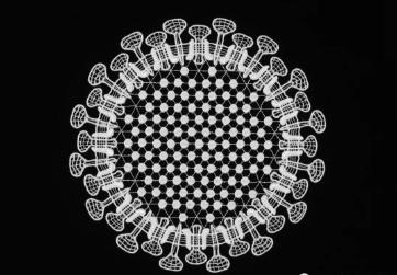 看不见的世界艺术与科学的交叉点