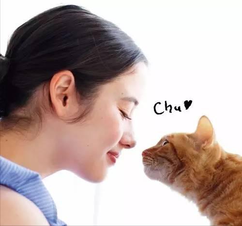 Nose Kiss Means These Things For Cats Inews