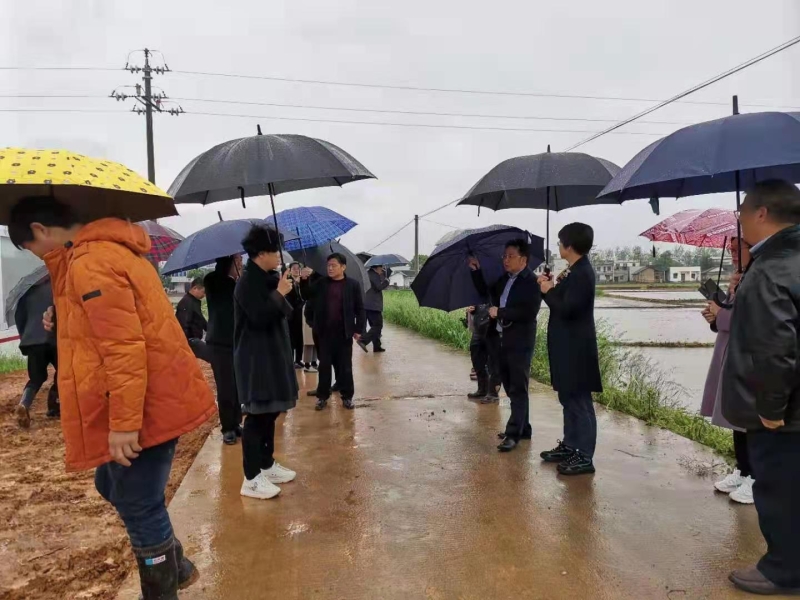 湘潭县农业农村局：市委副书记、市长张迎春来县调研春耕生产工作