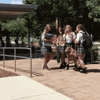 笑死人的动态图片：年纪轻轻就想玩死自己，佩服