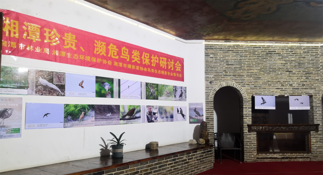 爱鸟护鸟 万物和谐——湘潭市2021年度“爱鸟周”系列活动