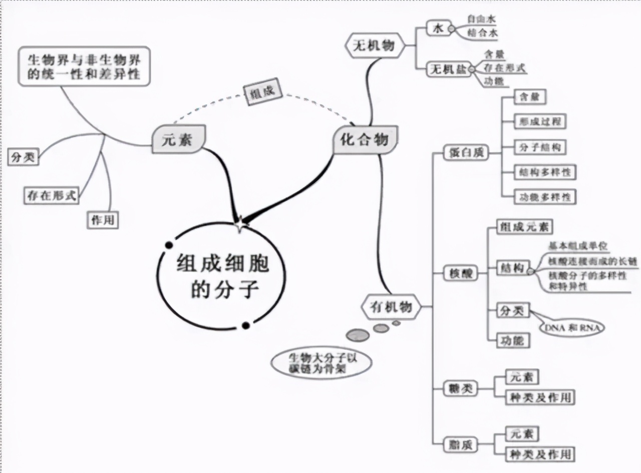 动植物细胞思维导图图片