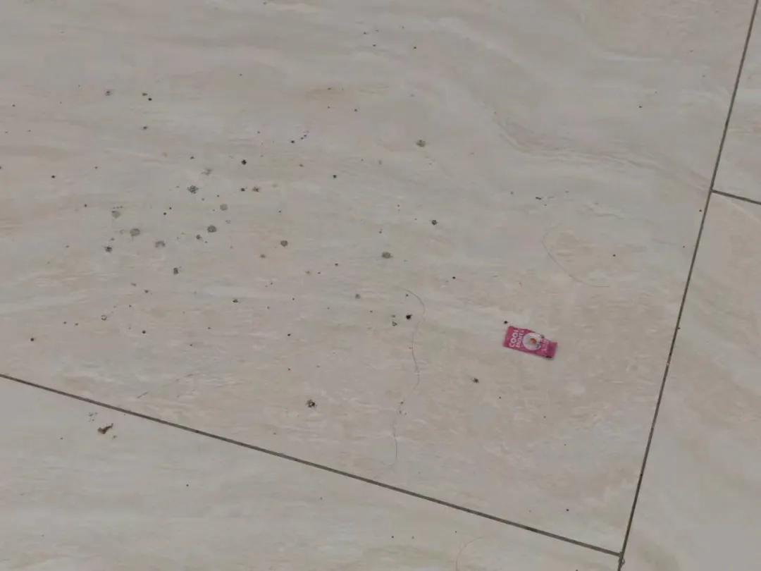 Uncivilized Tourism Behavior Exposed On National Day Outings INEWS