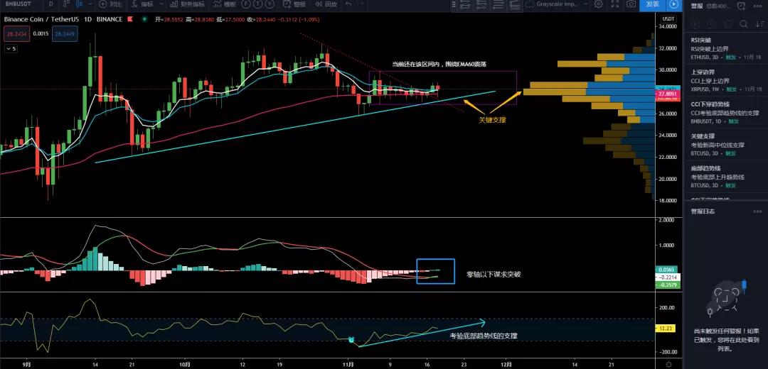 11/18价格分析：BTC、XRP、ETH、LTC、BNB、LINK I Damo行情8