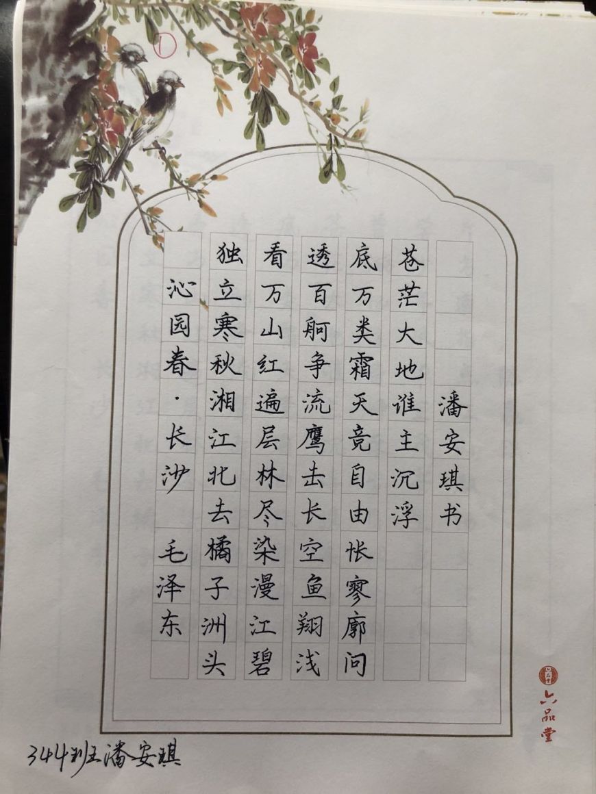 诗意语文"活动之"党史百年,笔中江山"硬笔书法大赛_民生时报网