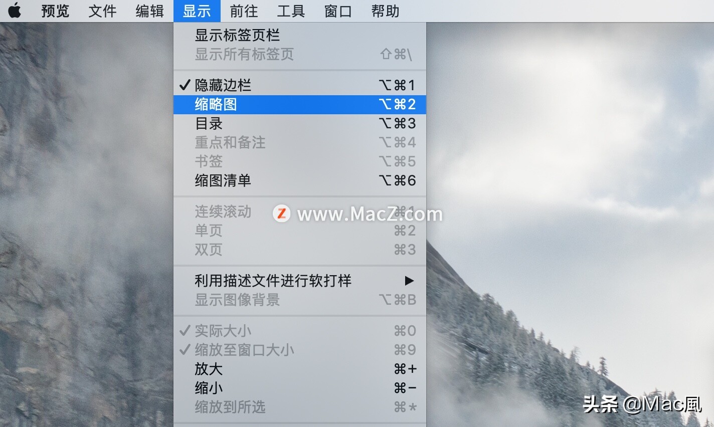 preview app for mac open in one window preview app for mac open in one window