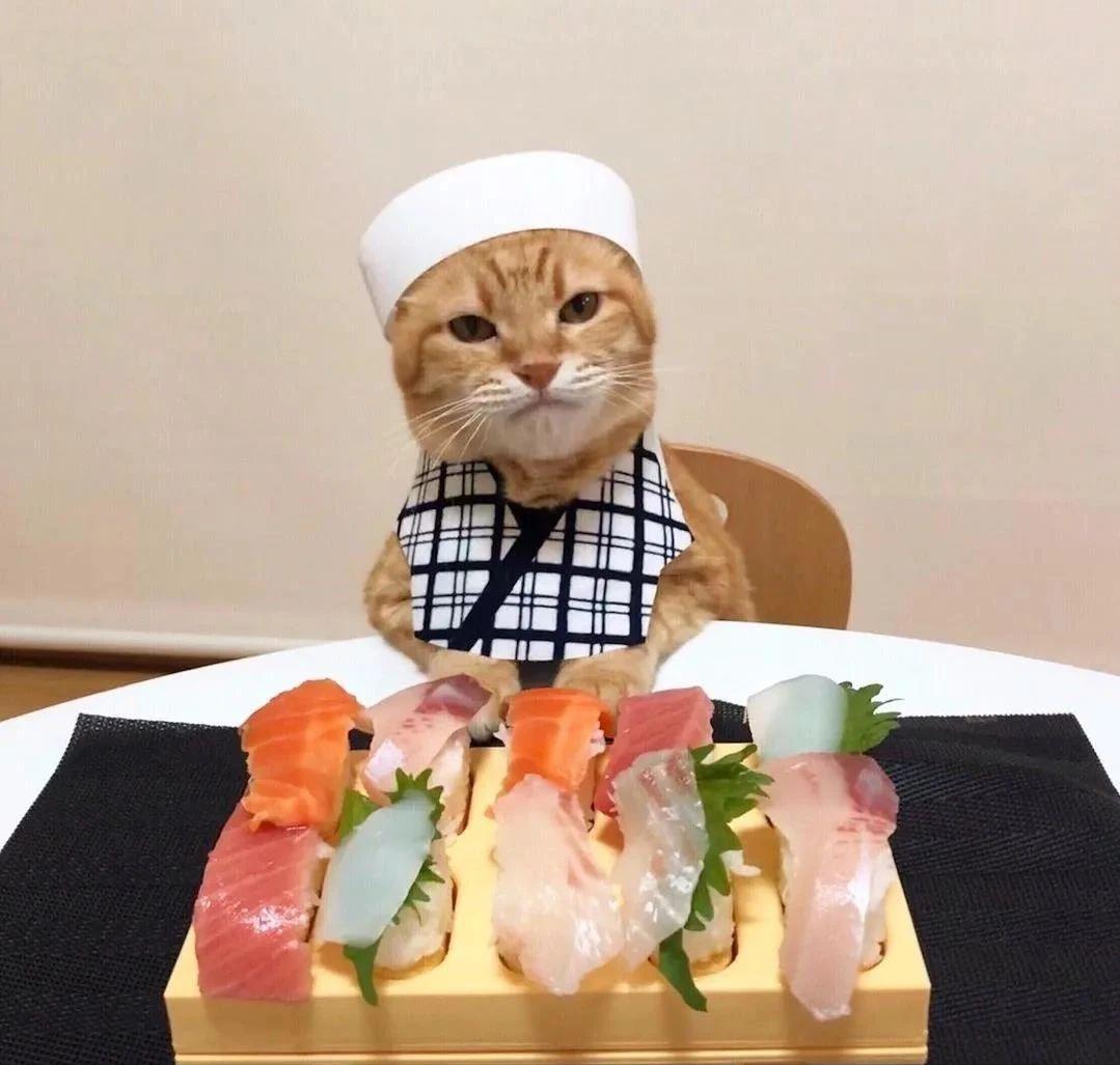 Japanese Netizens Show Popular Photos Of Cats One Person One Cat Three Meals A Day Inews