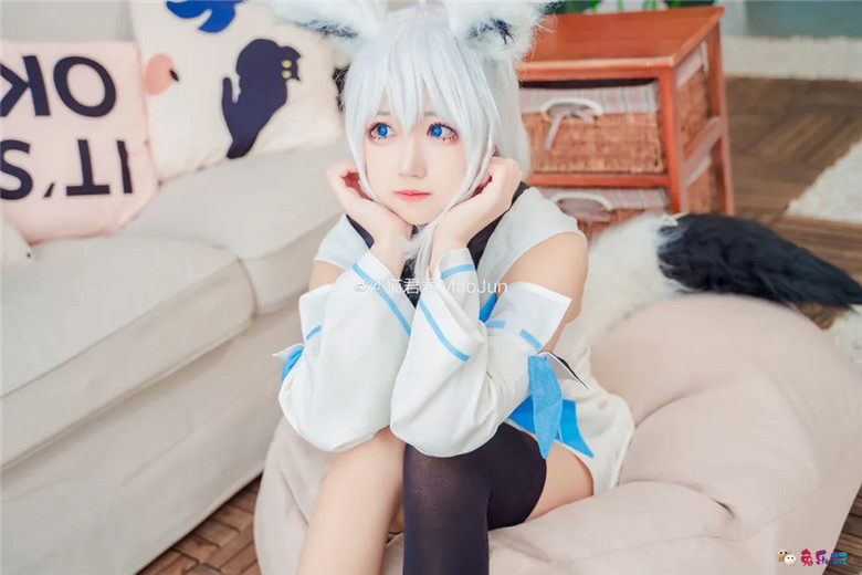 猫君君MaoJun丨《hololive》白上吹雪