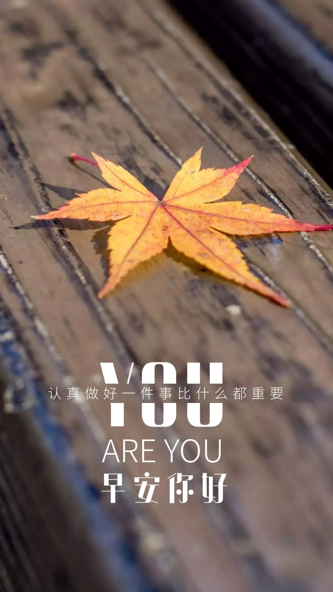 最新正能量早上好心灵鸡汤带图片，阳光明媚，助你积蓄力量