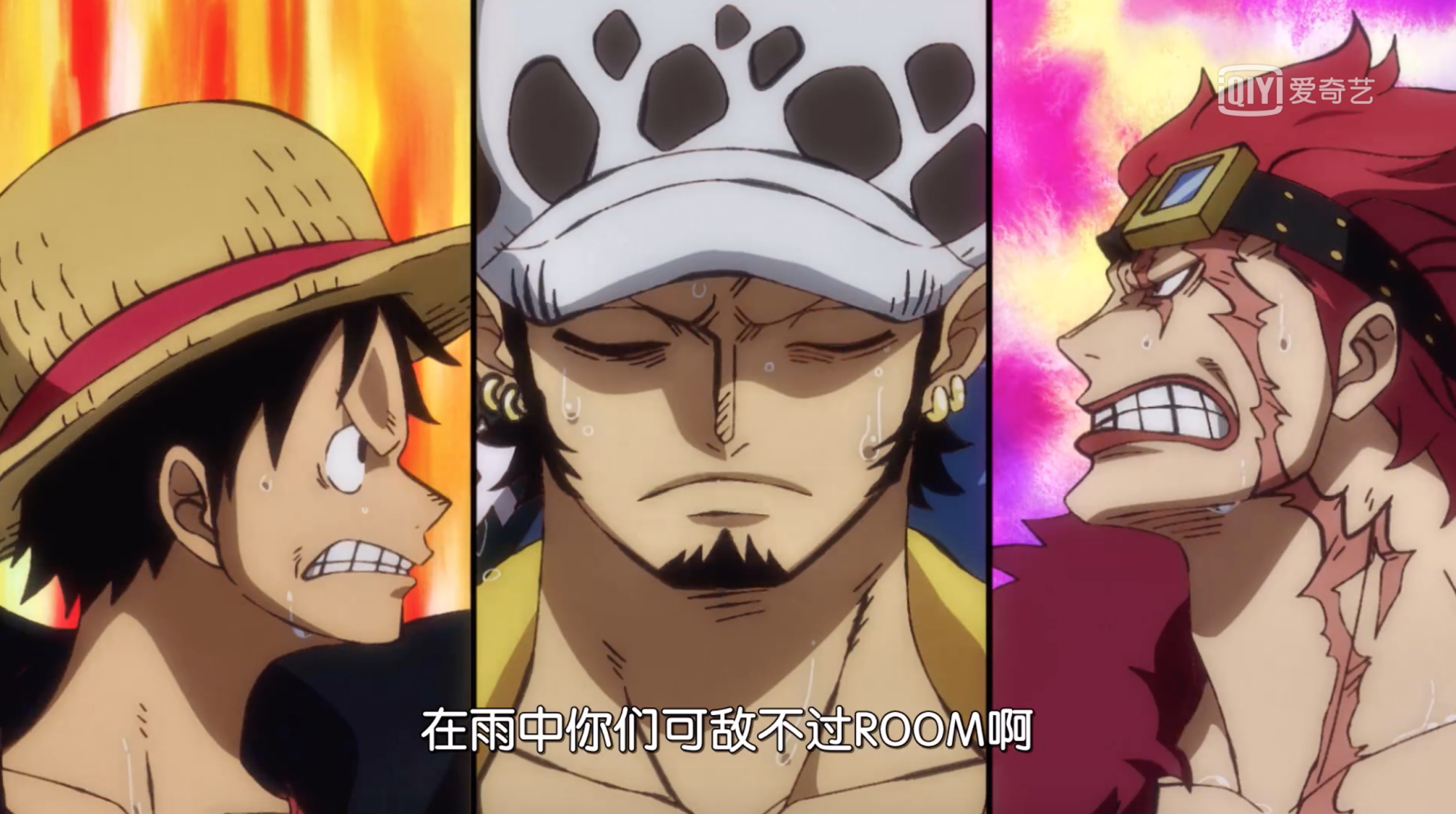 Episode 978 The Three Captains Gather Again Luffy Is In C Position And The Strength Is Already Different Inews