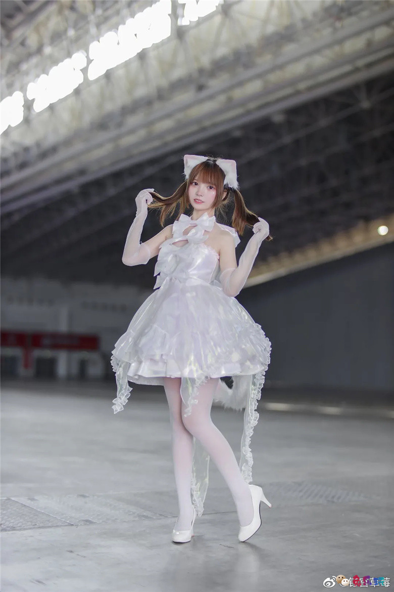 钉宫草莓丨小猫咪