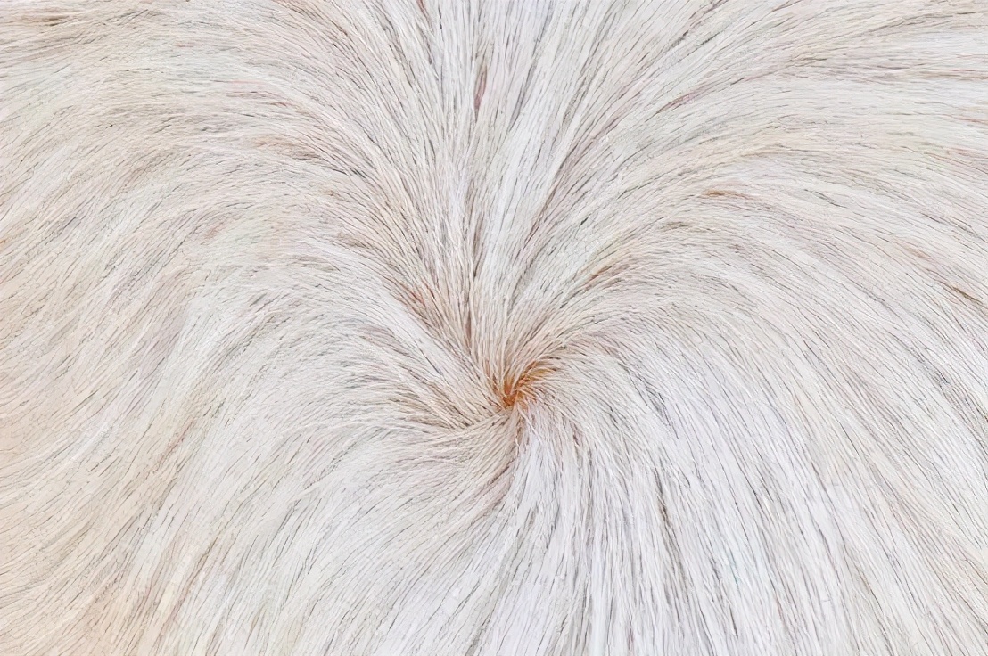 Hair around anus Telegraph