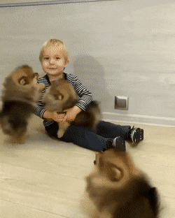 搞笑动图GIF：把小龙虾当瓜子嗑，也是厉害了！