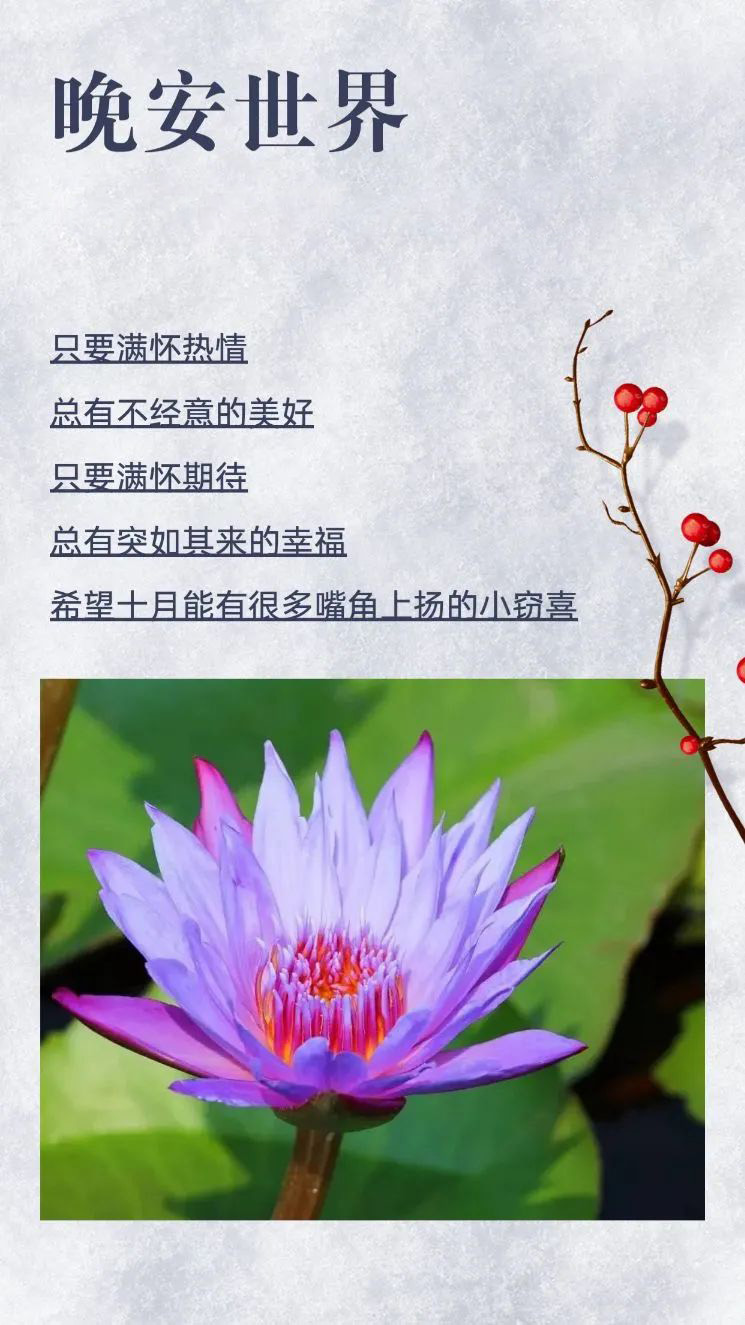 六月精辟的晚安心语文案美图，全力以赴，你会很酷