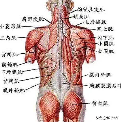 Nine Locks Of The Human Body Inews Nine Locks Of The Human Body Inews