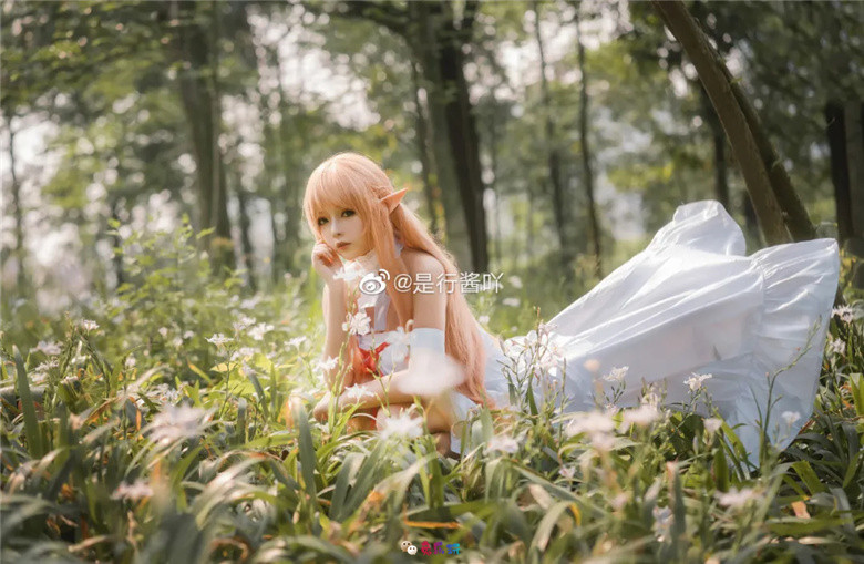 是行酱吖丨《刀剑神域》亚丝娜