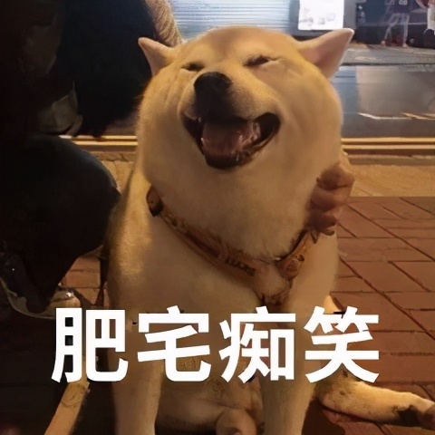 手里拿着手机玩游戏,刷剧,刷视频,嘴里吃着各种零食,顺便再来一瓶肥宅